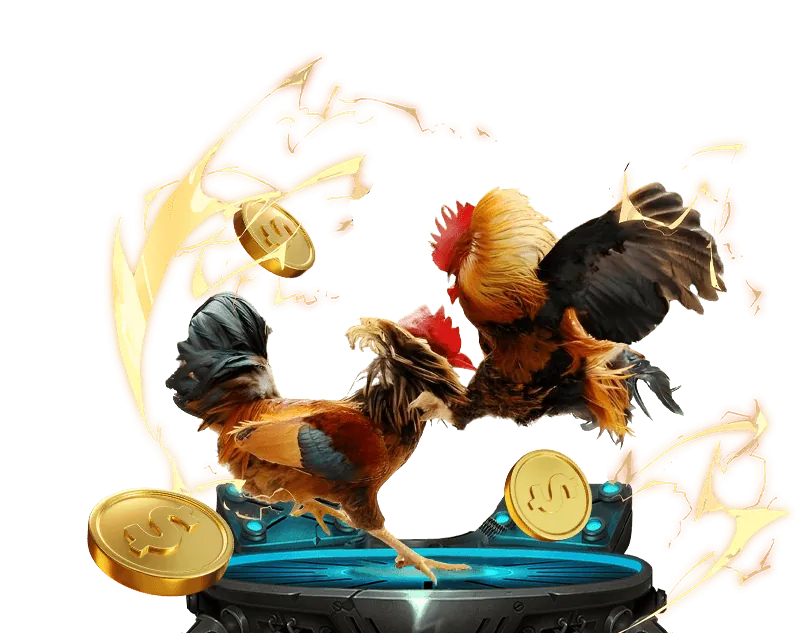 Định hướng phát triển bền vững của Đá Gà Thomo Trực Tiếp Bình Luận